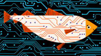 Digital Salmon logo